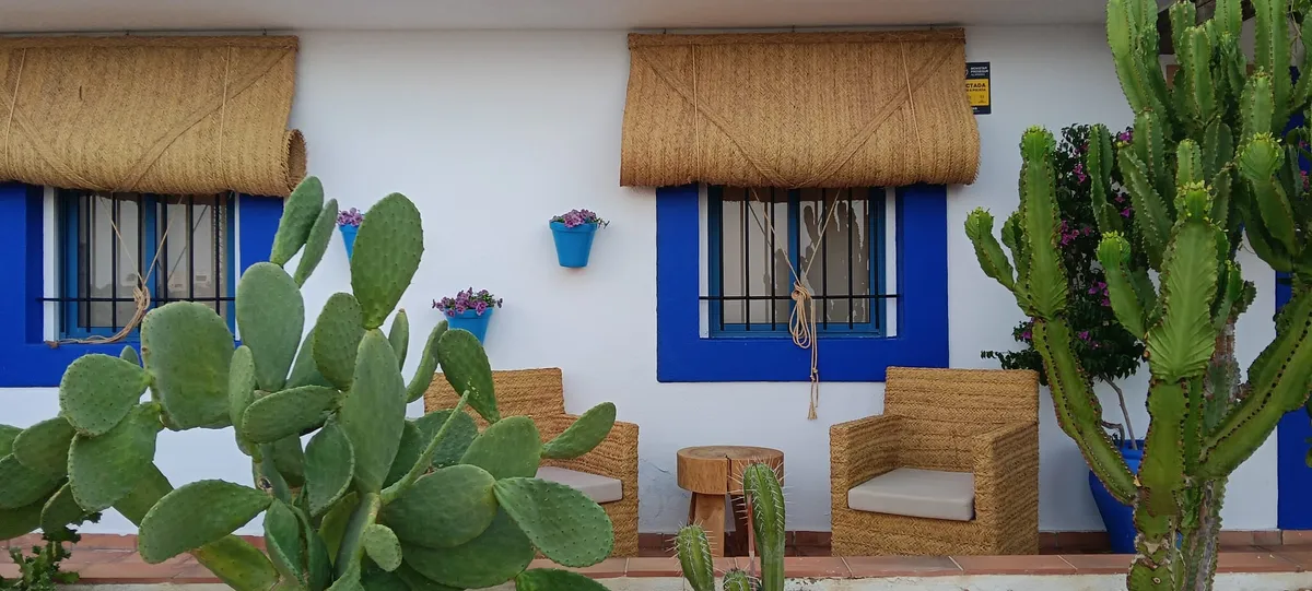 Fachada con ventanas azules y cactus en El Dorado San José